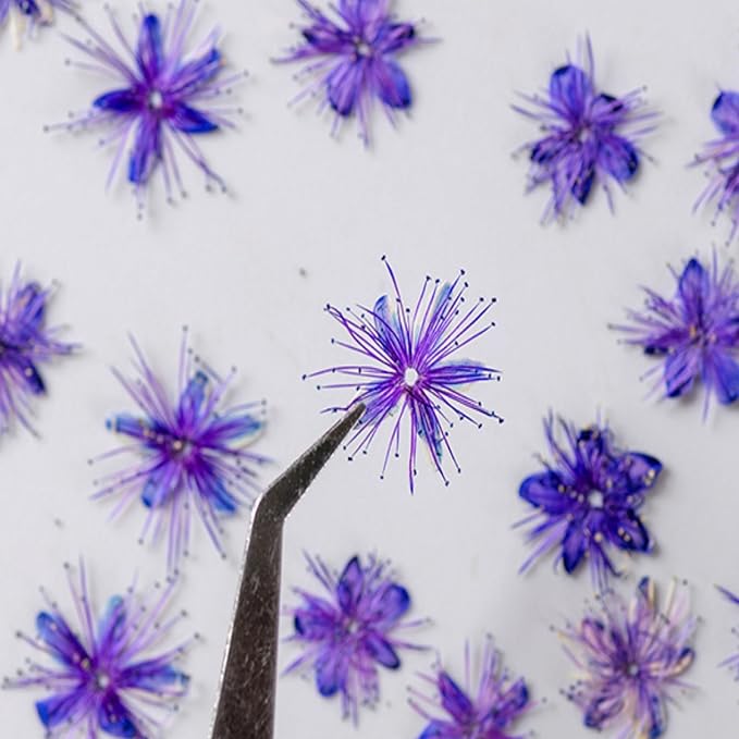 84 Pcs Dried Pressed Flowers for Crafts Resin Art DIY Natural Dry Sandalwood - Image 5
