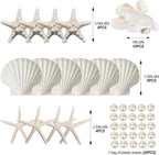 JQAQJU 16PCS Starfish and Scallop Shells - Image 2