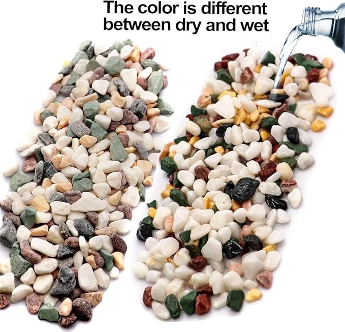 TOYPOPOR 6LB Succulent and Cactus Gravel Pebbles, 1/5 Inch Natural Decorative - Image 5