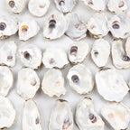 QEQEKAKA 30PCS Oyster Shells 2"-2.5" Small Flat Oyster Shells - Image 5