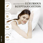 100% Egyptian Cotton Full Size Sheet Set - Image 2