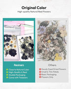 Dried Flowers, Resiners 100Pcs Pressed Flowers - Image 6