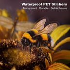 100PCS Insect Specimen PET Stickers – Bug-Themed Waterproof Decals Featuring - Image 4