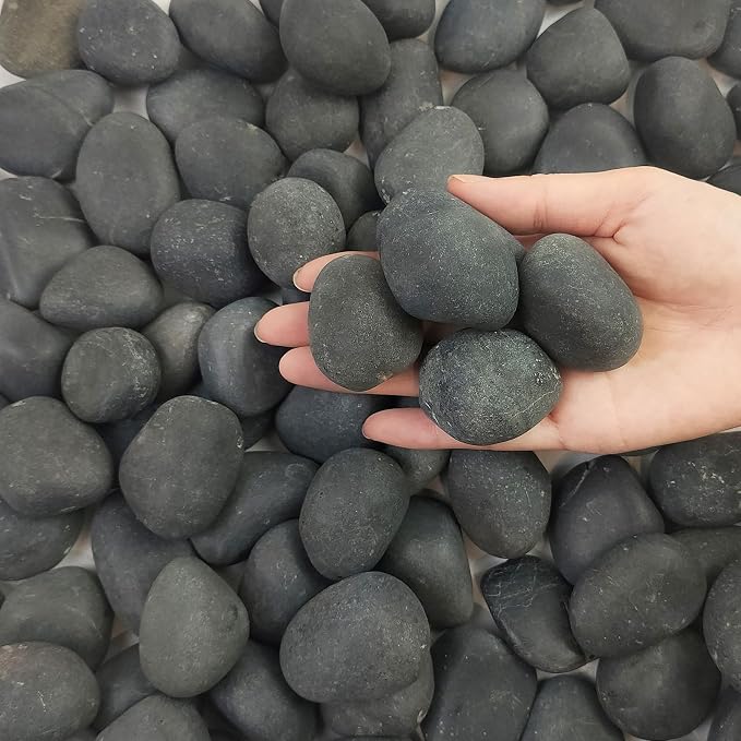 FANTIAN 5 lbs Black Pebbles for Indoor Plants, 1-2 Inch Stones Natural by FANTIAN-GardeningMakesLifeBetter