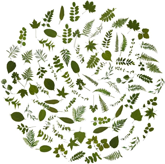 100Pcs Small Green Leaf Stickers, Obujopal Nature Plant Stickers Transparent by Obujopal
