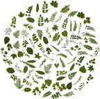 100Pcs Small Green Leaf Stickers, Obujopal Nature Plant Stickers Transparent by Obujopal