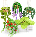 OEHPICC Needle Felting Kit, 5 Pack Hanging Plants Needle Felt Beginner Kit | by OEHPICC