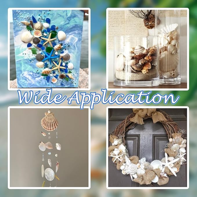 HappyFiller 14 PCS White Natural Scallop Seashells Decorative Starfish | Sea - Image 6