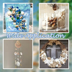 Natural Sea Shells Mixed -15 Kinds of Natural Seashells, Starfish & Urchins | - Image 4