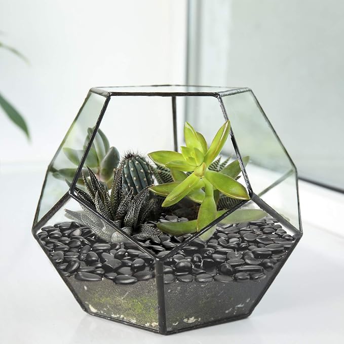 10lb Black Small Decorative Pebbles - Image 4