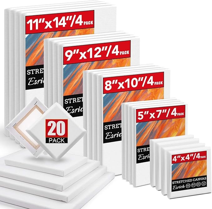 Stretched Canvas for Painting, 20 Packs Primed Blank Canvases, Very Good for by ESRICH