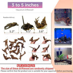 Hamiledyi 24 Pcs Small Driftwood - Image 3