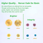 100 PCS Real Dried Pressed Flowers Leaves Natural Plant Herbarium - Image 5