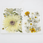Woohome 44 PCS Pressed Flowers Natural Dried Flowers White Resin Flowers Real - Image 8