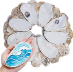 5"-6" 30PCS Extra Large Oyster Shells, Natural Flat Oyster Shells by DOODLEBEAN