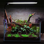 majoywoo Natural Small Driftwood - Image 5