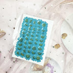 50pcs Natural Dried Daisy Flower, Vacuum Packaging, Pressed Flower - Image 4