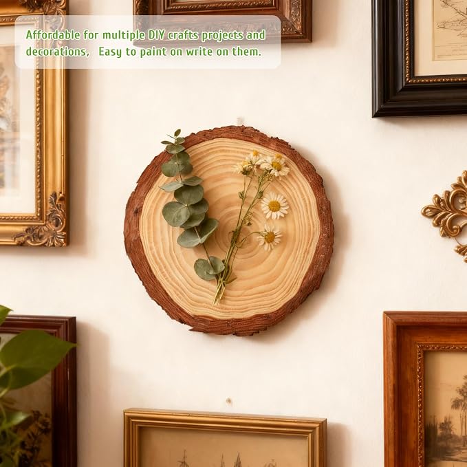 FSWCCK 10 Pack Nature Unfinished Round Wood Slices, 7-7.8 Inches Wooden Circle - Image 3