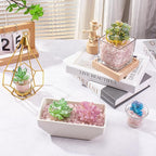 0.88 Lb Rose Quartz Crushed Stones Crystal Chips Bulk, Natural Gemstones - Image 5
