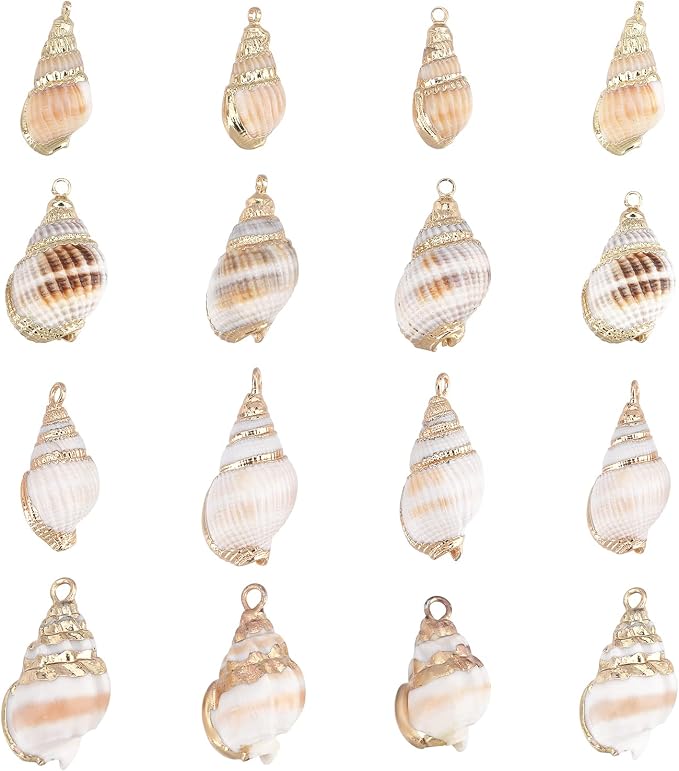 SUNNYCLUE 1 Box 16Pcs 4 Style Ocean Beach Spiral Seashells Craft Charms by SUNNYCLUE