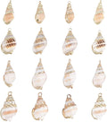 SUNNYCLUE 1 Box 16Pcs 4 Style Ocean Beach Spiral Seashells Craft Charms by SUNNYCLUE