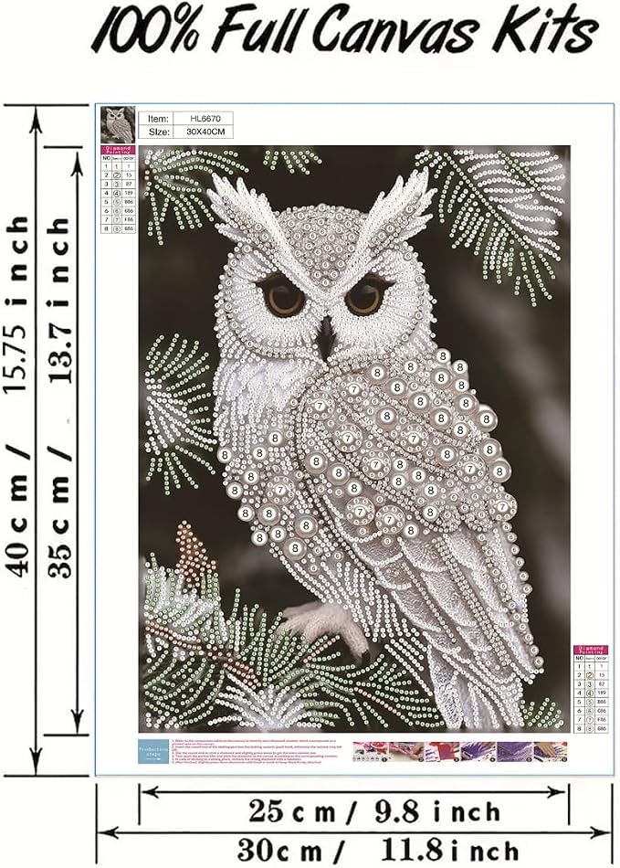 GEMFAMILY Owl Diamond Art Painting Kits - Image 6