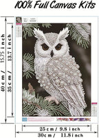 GEMFAMILY Owl Diamond Art Painting Kits - Image 6