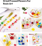 Dried Flowers, Resiners 174Pcs Pressed Flowers - Image 7