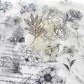 50Pcs Black Transparent Waterproof Plant Stickers by YOKSAS