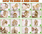 hapray 4 Pack Bird House Crafts - Image 4