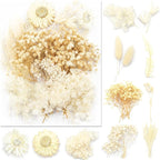 Vignee Real Dried Pressed Leaf Flowers-Multiple Colorful Pressed Flowers Daisies by Vignee