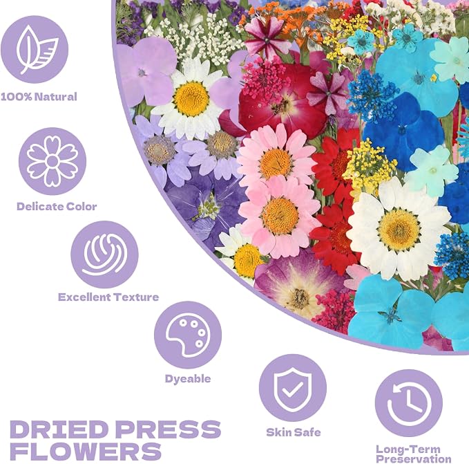 Dried Flowers for Resin | 120pcs Natural Flowers and Leaves Compressed - Image 2