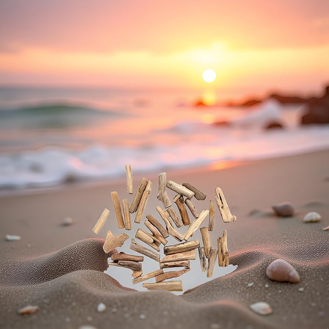 20 Pcs Natural Driftwood Pieces Branch Slices Craft Sticks Beach Decor - Image 3
