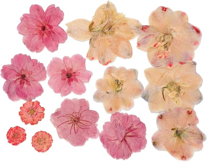86pcs Pressed Flowers for Resin, Dried Flowers and Dry Leaves for Scrapbooking - Image 4