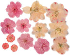 86pcs Pressed Flowers for Resin, Dried Flowers and Dry Leaves for Scrapbooking - Image 4