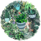 50PCS Green Plant Transparent Stickers, Potted Plant Floral Decals Stickers - Image 3