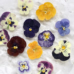 54 Pcs Dried Pressed Flowers for Resin DIY Art Crafts Natural Dry Floral Epoxy - Image 2