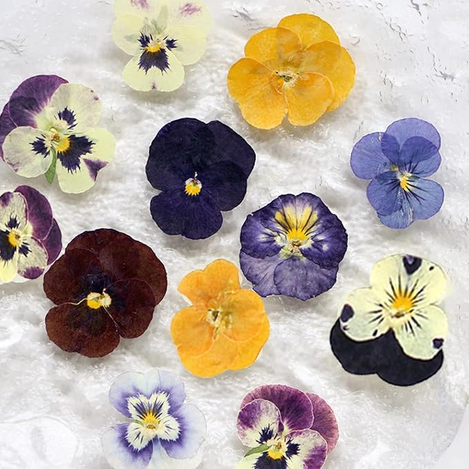 54 Pcs Dried Pressed Flowers for Resin DIY Art Crafts Natural Dry Floral Epoxy - Image 2