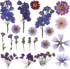 Purple Dried Pressed Flowers Real Natural Petals Bulk - Image 3