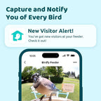 NETVUE by Birdfy Smart Bird Feeder - Image 2