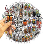 50 PCS Realistic Beetle Stickers - Image 8