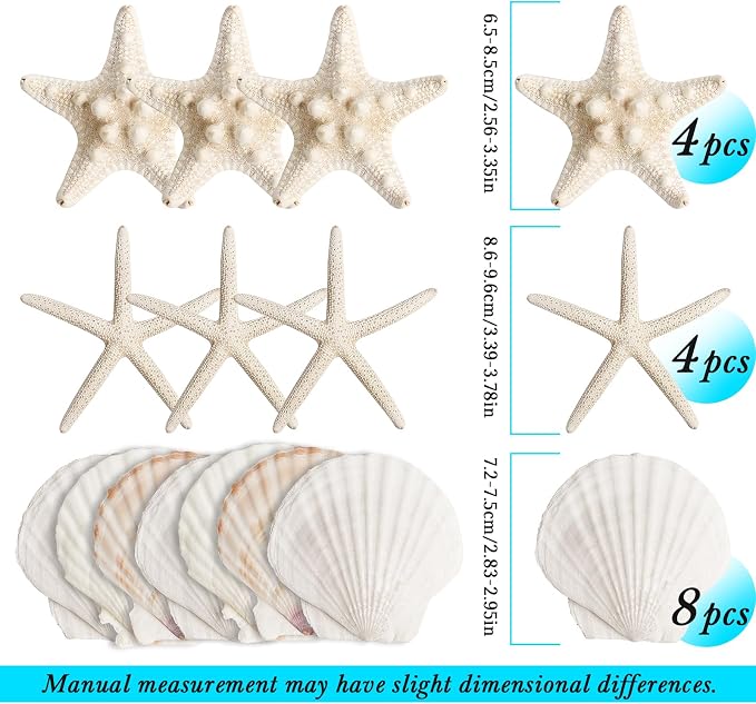 HAPYSHOOP 32 Pieces Starfish and Scallop Shells - Image 3