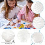 12PCS Large Natural Scallop Shells 4''-5'' White Sea Shells - Image 2