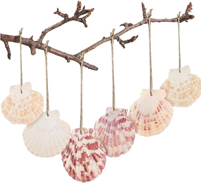 SINKOO 30PCS Scallop Shells, Natural Seashells 1.7"-2.6" by SINKOO