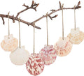 SINKOO 30PCS Scallop Shells, Natural Seashells 1.7"-2.6" by SINKOO