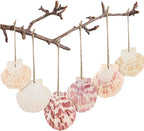 SINKOO 30PCS Scallop Shells, Natural Seashells 1.7"-2.6" by SINKOO