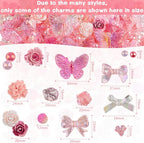 350 Pieces 3D Resin ABS Colorful Rose Flower Bows Butterfly Charms - Image 4