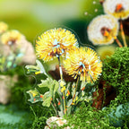 60-Piece Holographic Dandelion Scrapbook Stickers – Colorful Iridescent Effect - Image 4