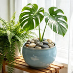 40 LBS Natural Pebbles - Image 5