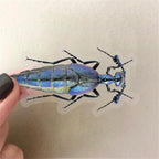 Bug Decals, Realistic Transparent Insect PET Sticker, Waterproof Bug Stickers - Image 3